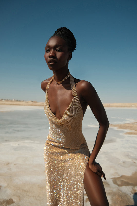 Sparkling dress