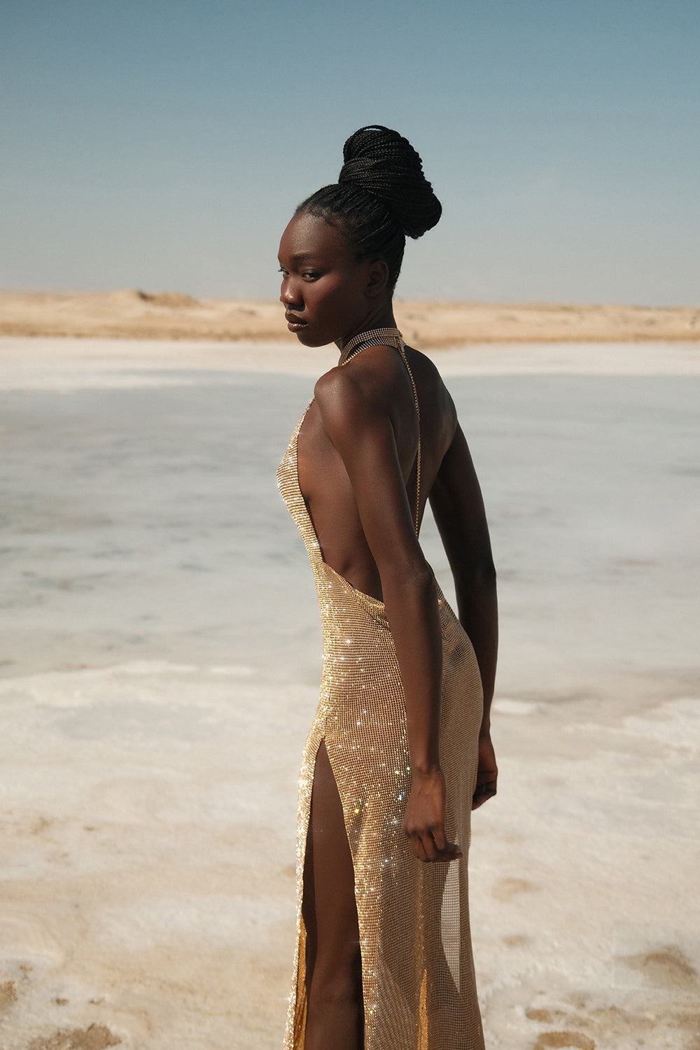 Sparkling dress