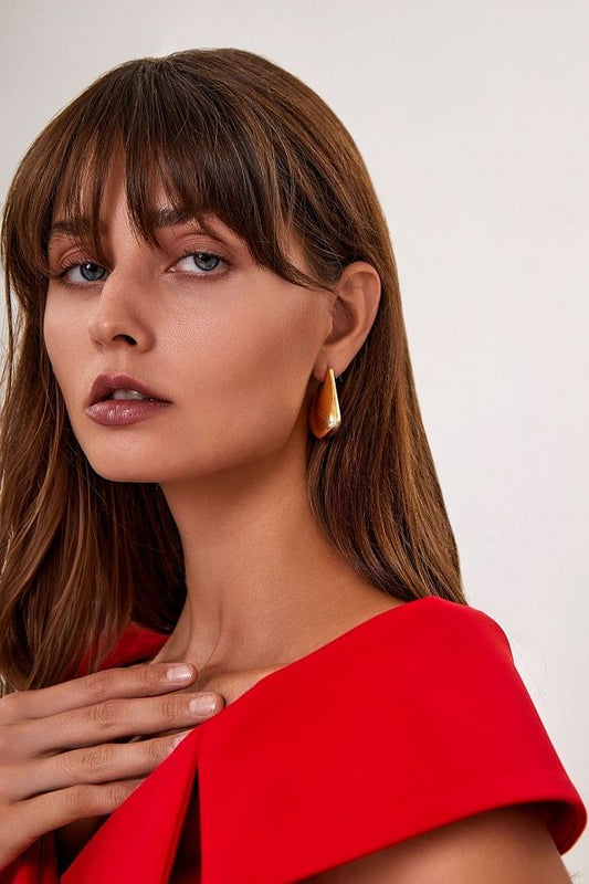 Neat earrings