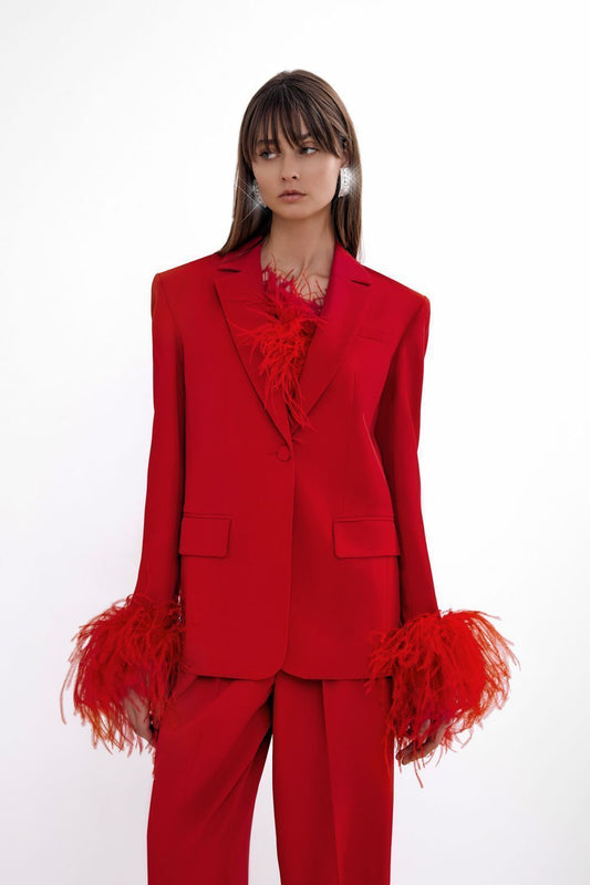 Jacket with feathers on the sleeves