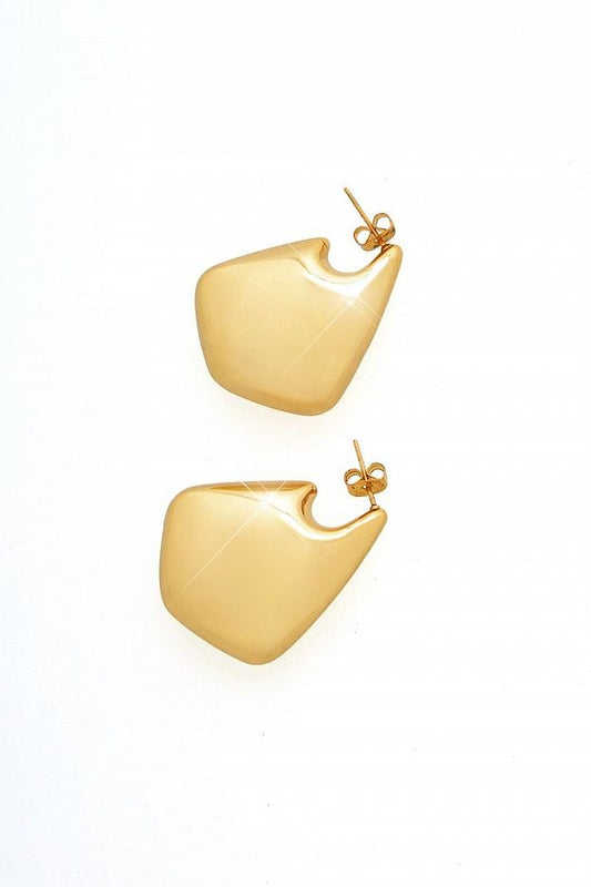Neat earrings