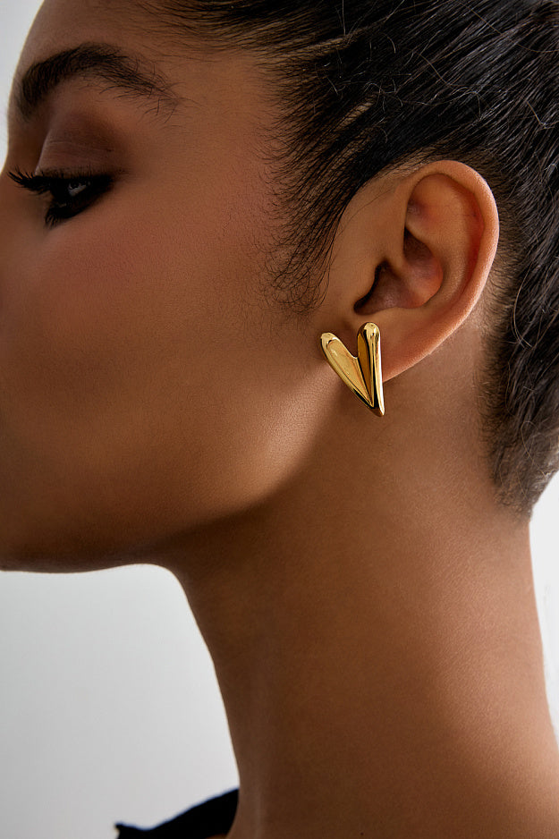 earrings hearts