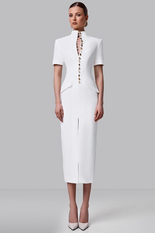 Fitted Dress with Statement Buttons