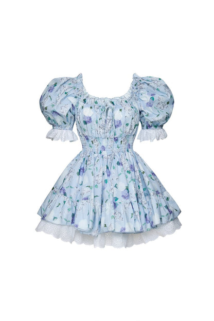 Floral Print Mini Dress