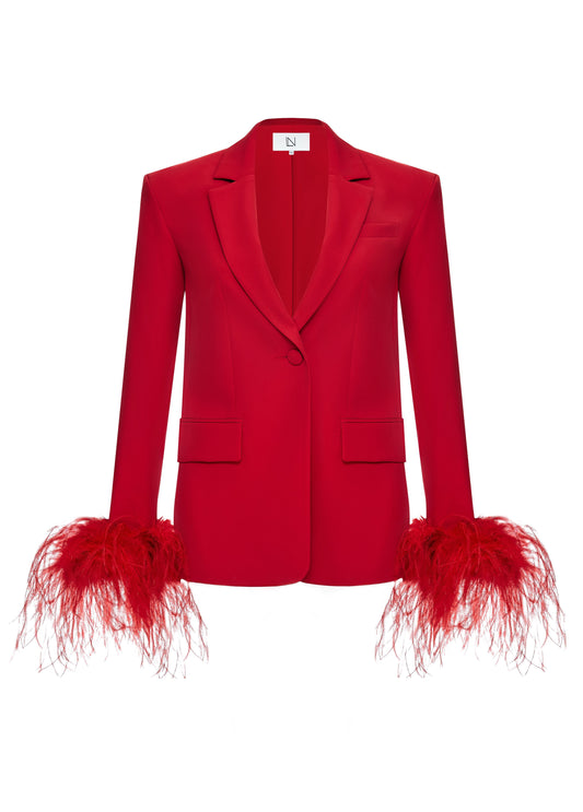 Jacket with feathers on the sleeves