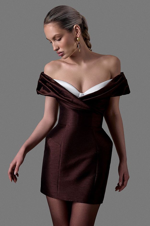 Elegant Waist-Defining Mini Dress