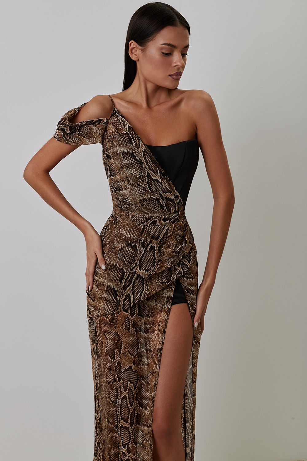 Animal Print Maxi Dress